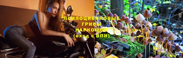 меф Алексин