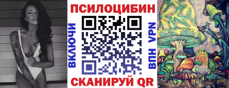 Галлюциногенные грибы Cubensis  Моздок 