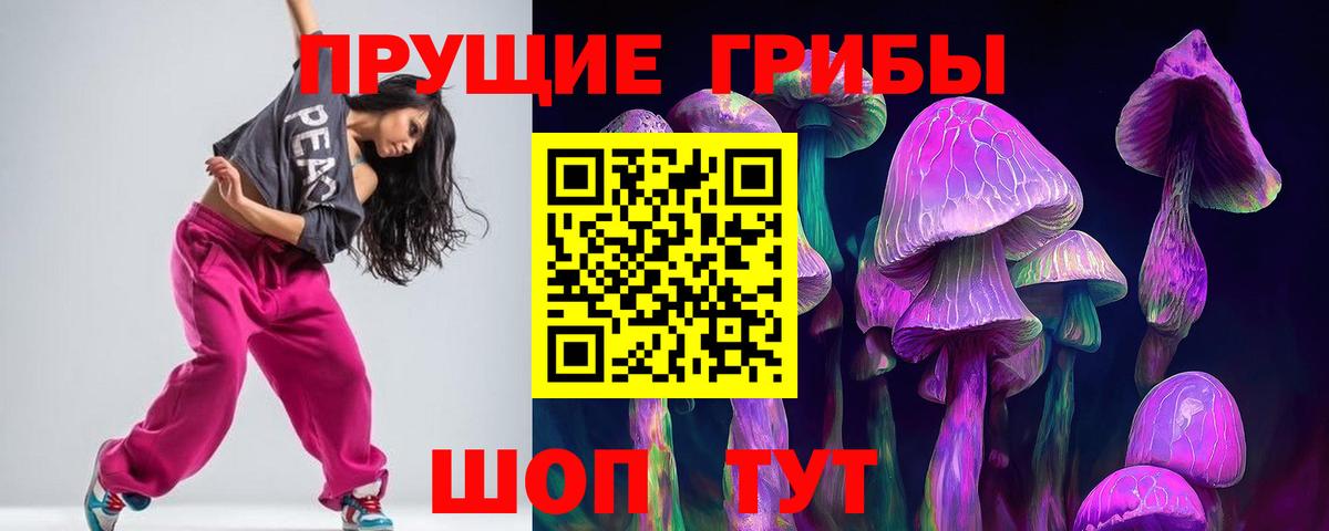 купить   Псилоцибиновые грибы MAGIC MUSHROOMS  Моздок  Вход с VPN  Псилоцибиновые грибы мицелий 